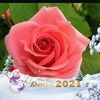 helene_auger